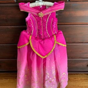 Deluxe Sleeping Beauty Costume